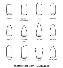 Set of different shapes of nails on white. Nail shape icons. Manicure polish. Vector illustration 