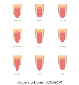 Set of different shapes of nails on white. Nail shape icons. Manicure polish. Vector illustration 