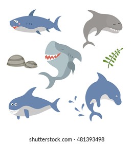 Set of different sharks on white background.