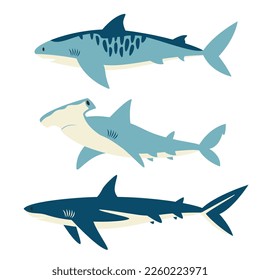 Set of different sharks. Sea inhabitants in flat style.