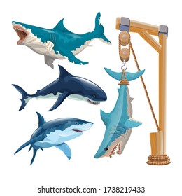 Set of different sharks in vector. Several sharks in motion and different colors and a shark hanging on a hook. Izolated on on a white background