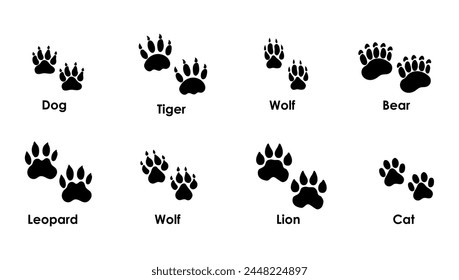 Set of different silhouettes of animal paws - dog, cat, tiger, fox, bear, lion, wolf, leopard. Vector illustration