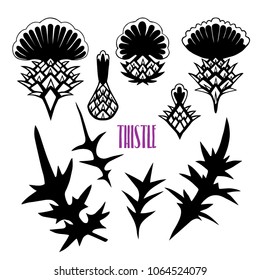 Set of different silhouettes of flowers and thistle leaves. Vector floral symbols template.Elements of design in a flat style.