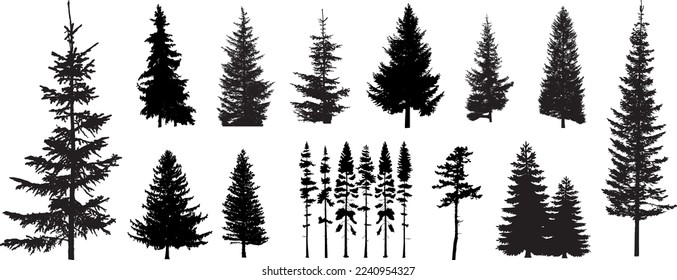 Set of different silhouettes of pine trees. Icon vector tree.