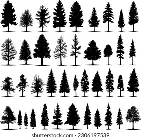 Set of different silhouettes of pine trees. Icon vector