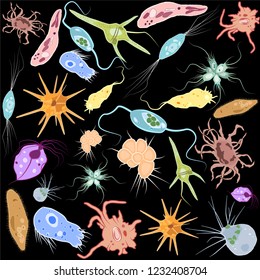 Set of different single-celled eukaryote  Protozoas, Vector illustration