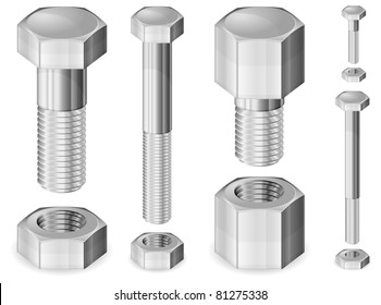 Set Of Different Size Metal Bolts And Nuts Isolated On White, Vector Illustration