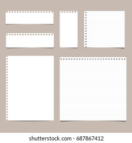 Set of different size ruled and blank note, notebook, copybook paper sheets.