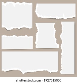 Set of different sizes of white torn paper on a gray background. Can write text, alphabet letters and other symbols. Vector illustration