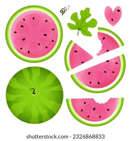 Set of different slices of ripe juicy watermelon