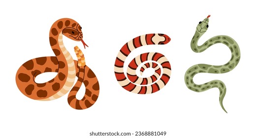 Set of different snakes. Hand drawn vector collection of elapidae, python, rattlesnake. Tropical or Wild West poison viper in the top and front view. Vector wildlife concept. Dangerous serpent.