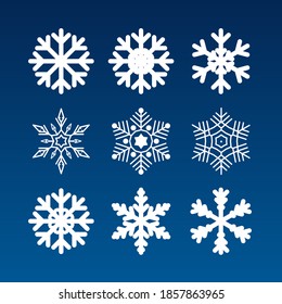 Set of different snowflakes on a blue background. Vector illustration.