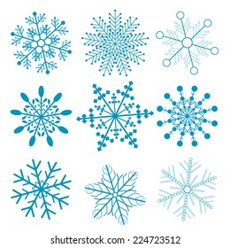 Set of different snowflakes. Vector Illustration.