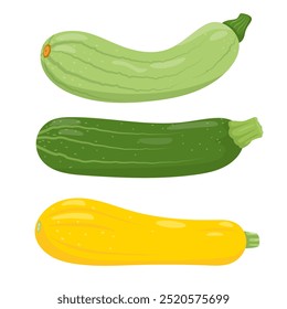 Conjunto de diferentes tipos de abobrinha. Os tipos verdes e amarelos dos ícones da planta da abobrinha da fazenda. Comida vegetariana de jardim orgânico. Ilustração vetorial isolada sobre fundo branco.