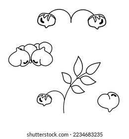 A set of different soybeans outline. The world of legumes.