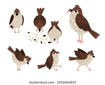 Conjunto de diferentes poses de gorrión. El pájaro pica semillas. El gorrión lleva un gusano en su pico. Ilustración vectorial del gorrión de aves, posición de fauna silvestre