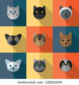 Set of different species of cats on the color background