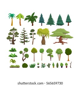 A set of different species of trees and shrubs in a flat style. Vector illustration deciduous and coniferous trees and bushes on white backgrounds.