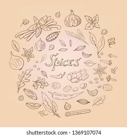 Set of different spices elements in circle shape on craft background. Asian (indian) spices collection.