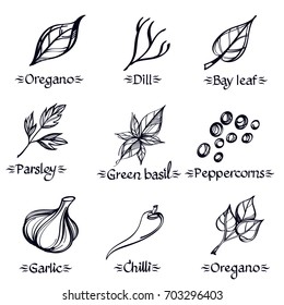 Set of different spices and greens black and white pattern for menu design.