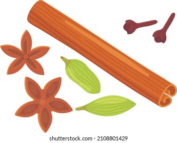 A set of different spices herbs and seasonings Cinnamon stick cloves star anise and cardamom.