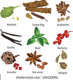 a set of different spices on a white background
