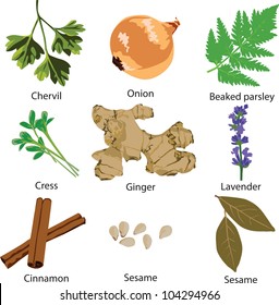 a set of different spices on a white background
