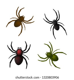 Set of different spiders, isolated vector clip art on white background