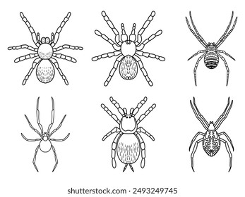 Set of different spiders in a linear style illustration in black.