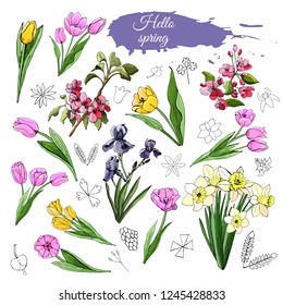 Set of different spring flowers: tulip, iris, narcissus, malus and doodle elements. Hand drawn colored  sketch  for greeting card, invitation. Vector illustration isolated on white background.