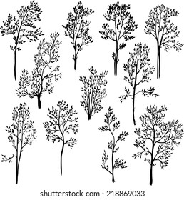 set of different spring trees, hand drawn design element, vector illustration