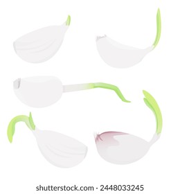 Set of different sprouted garlic cloves