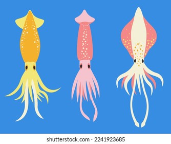 Set of different squids in flat style. Beautiful underwater inhabitants.