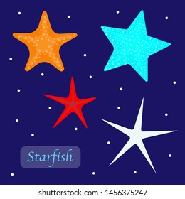 set of different starfish isolated on dark blue background. red, blue , white and orange starfish. Colorful vector illustration 