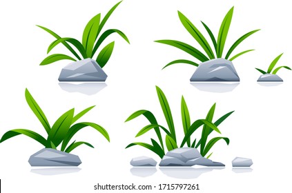 Set of different stones with green grass in landscape design, detailed green plants on ground isolated illustration, decorative plant composition on ground, dense vegetation in garden