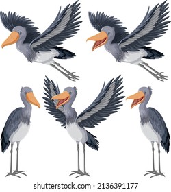 Set of different stork birds in cartoon style illustration