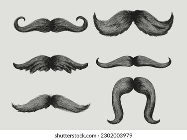 Set of Different styles of male realistic mustaches. Hand drawn Chevron, Dali, imperial, lampshade, painter brush, handlebar, classic relaxed, english, thick thin man mustaches. Vector illustration.