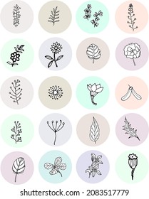 Set with different stylized flowers and leaves. Silhouettes of natural elements for templates, wallpaper, cards. 