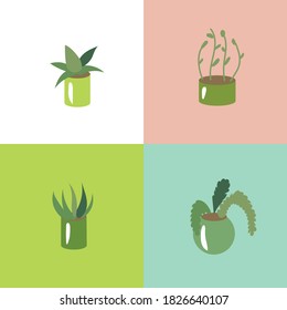 Instalado con diferentes plantas de hogar estilizadas