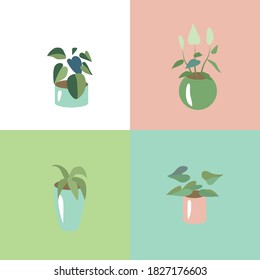 Set with different stylized home plants