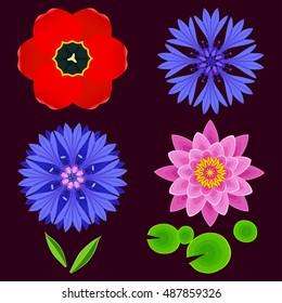 Set of different stylized lotus, cornflower, tulip and leaves. Collection of beautiful spring and summer flowers isolated on dark background. Elements of floral design, icons. Vector illustration