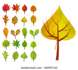 Set with different stylized summer and autumn trees