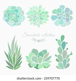 set of different succulent plants