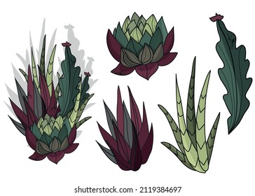 Un conjunto de diferentes suculentos y cactus. Ilustración vectorial botánica. Decoración para el interior y las vacaciones. Flores mágicas. Ingredientes para la poción. Magia. Dibujo multicolor.