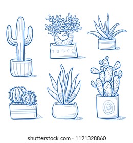 Set of different succulents and cactus plants in garden pottery. Hand drawn blue outline line art cartoon vector illustration.