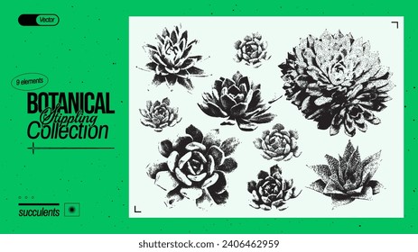 Conjunto de diferentes suculentos. Elementos de plantas de época con efecto fotocopia granulado para antidiseño. Grunge los elementos punteados con efecto de endurecimiento. Ilustración vectorial.