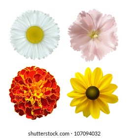 set of different summer flowers on a white background. vector illustration
