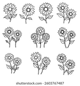 Set of different sunflower line drawings