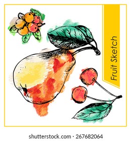 Set of different Sweet fruits and leaf. Pencil sketch  with watercolor spots on background.