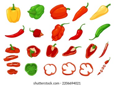 A set of different sweet and hot peppers. Chopped pieces of vegetables. Vector illustration